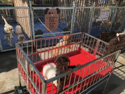 -萌宠亲子动物乐园(槐房万达店)