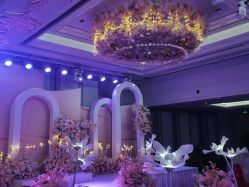 -曼格纳婚礼艺术中心(张江店)