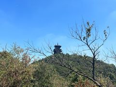 -杭州半山国家森林公园