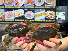 -鑫悦楼煎蟹·16年海鲜大排档