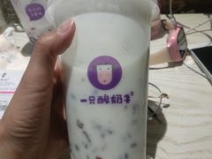 -一只酸奶牛(八一路店)