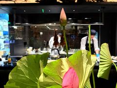 -淮扬府·游园京梦(北京SKP店)