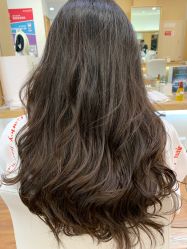 -THE LOG SALON 记录
