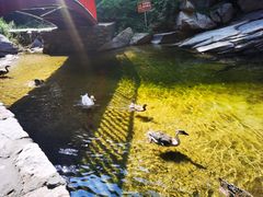 -黑龙潭风景区