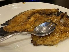 -河畔春天时尚餐厅