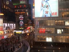 -蟹道乐(道顿堀本店)