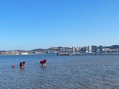 -莫内艺术岛海景咖啡