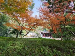 -汇龙潭