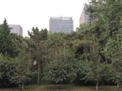 -元大都城垣遗址公园