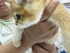 -唐小姐の猫狗洗护·购宠旗舰店(周浦万达店)