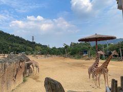 -杭州野生动物世界