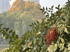 -西安市长乐公园