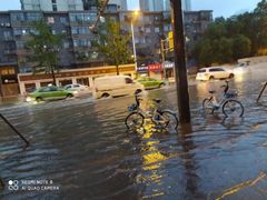 南台月月饼-闻酥园(水碾河路店)