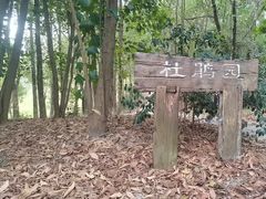 -中山市树木园