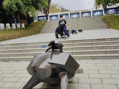 -广东惠东海龟国家级自然保护区