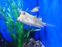 -多彩贵州城极地海洋世界