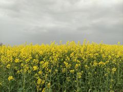 -海霸王西部食品物流园区(阳光北路)