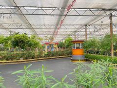 -南宫五洲植物乐园