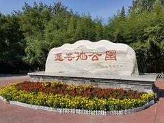 -莲花池公园