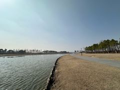 -春花秋色城市公园