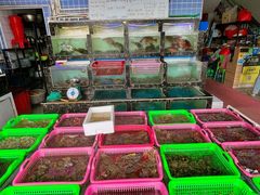 -众味海鲜大排档·活海鲜·潮汕味(南澳店)