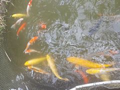 -呀诺达热带雨林