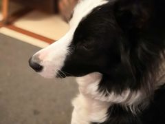 -哈尔滨北方国际青年旅舍(中央大街店)