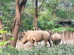 -北京野生动物园
