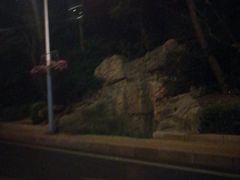 -大连植物园