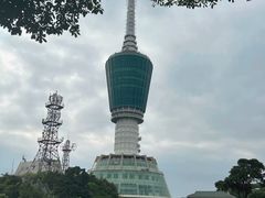 -梧桐山风景名胜区