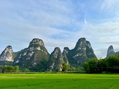 -明仕田园