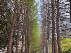 -中国（江苏）自由贸易试验区苏州片区一站式服务中心