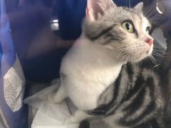 -MOLLY'S萌宠生活馆