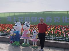 -杭州湾海上花田景区