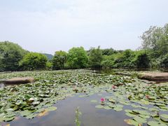-白马涧龙池景区