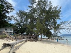 -东姑阿都拉曼海洋公园