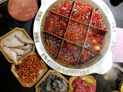-大龙火锅(老店)