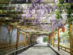 -长安上水缘度假庄园