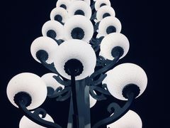 -重庆市江北嘴中央商务区中央公园