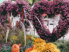 -上海共青森林公园