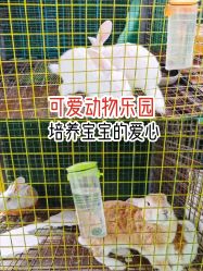 -可可天空农场(中大店)