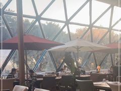 露天位-巴别塔法餐舍(朝阳店)