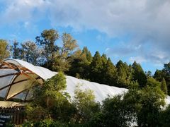 -怀托摩萤火虫洞