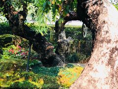 -Chom Cafe and Restaurant