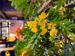 -LYFATTI 莱芙缇(赣水路店)