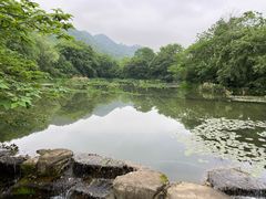-中国茶叶博物馆(双峰馆区)