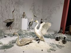 -南宫五洲植物乐园