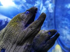 -成都浩海立方海洋公园