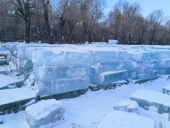 -长春市南湖公园