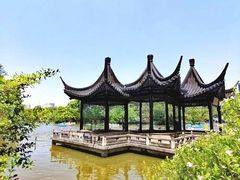 -红梅公园
